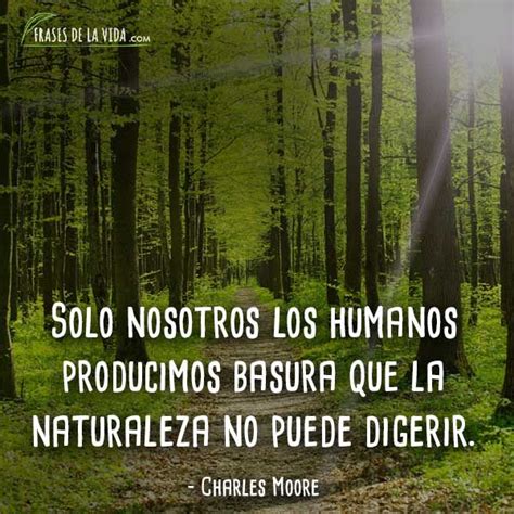 Frases De Naturaleza La Armon A De Los Seres Vivos Con Im Genes