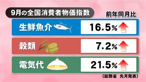 【解説】物価高騰で家計の負担増 値上がりしていない食材や節約につながる家電に注目 岡山 Ksbニュース Ksb瀬戸内海放送