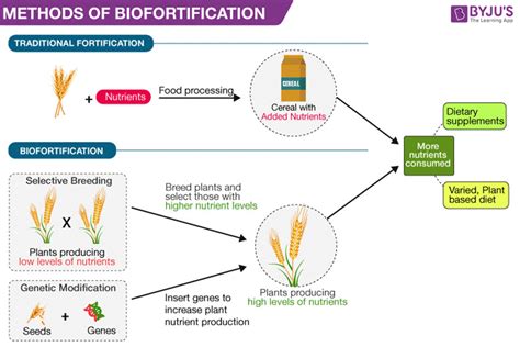 Biofortification Enhancing Nutrition To Decrease Malnutrition Aci