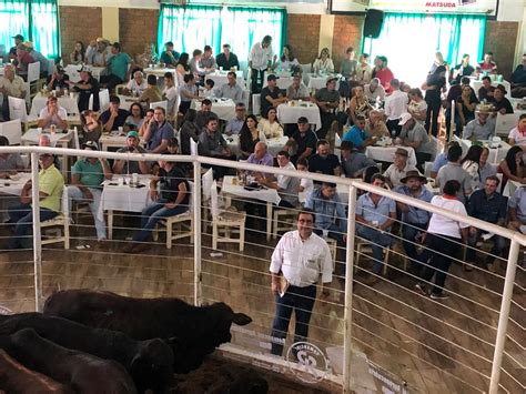 Expoagro Laranjeiras Do Sul Pr Leiloing