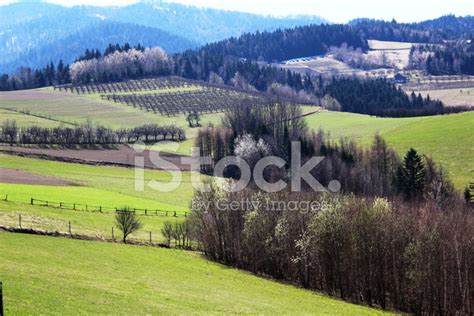 Beskids Mountains In Early Spring. Poland. Stock Photo | Royalty-Free ...