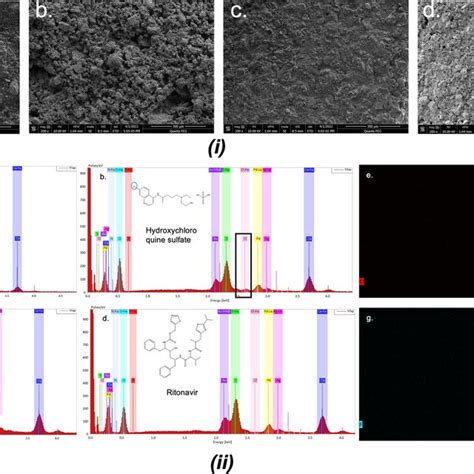 I Scanning Electron Microscope SEM Images Of The Printed A