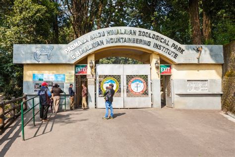 Padmaja Naidu Himalayan Zoological Park Darjeeling Zoo West Bengal
