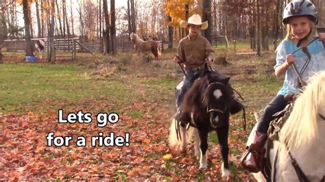 George Shetland Pony At Sunrise Ranch Youtube