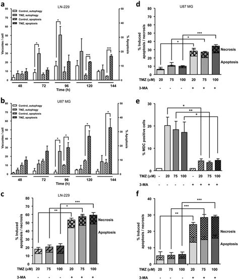 TMZ Induced Autophagy Comes Earlier Than Apoptosis And Inhibits It