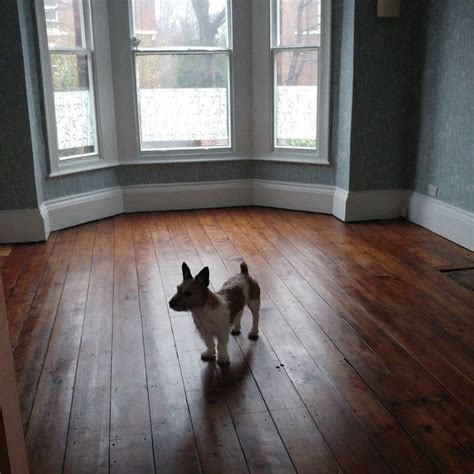 How To Sand And Restore A Victorian Wooden Floor — Alice De Araujo