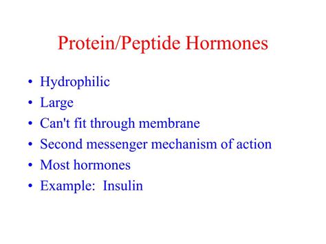 PPT Hormones And Feedback Mechanisms PowerPoint Presentation Free