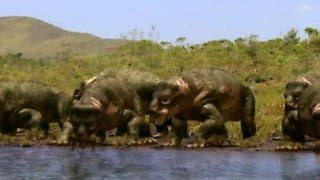 Watch Walking with Dinosaurs Online - Full Episodes of Season 1 | Yidio