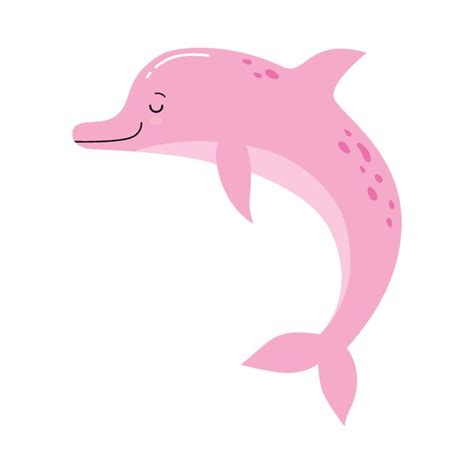 Categoría Delfin rosado animado de imágenes fotos de stock e