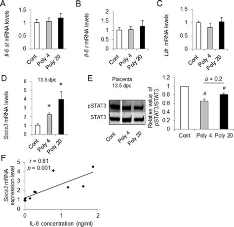 Maternal Immune Activation MIA Induced Changes Of Placental Gp130