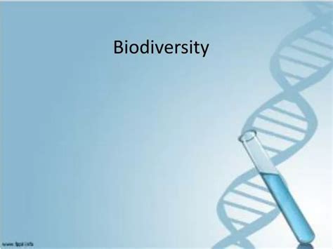 Ppt Biodiversity Powerpoint Presentation Free Download Id1904646