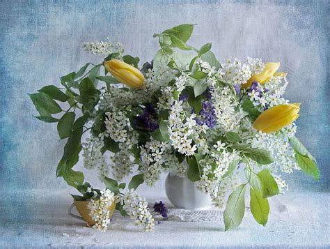 Beautiful Still Life White Bouquet Graphy Beautiful Flowers Cup