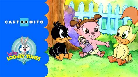 Flu Shots Baby Looney Tunes Videos Cartoonito