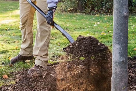 Choosing a Spade and Shovel – Protracted Garden