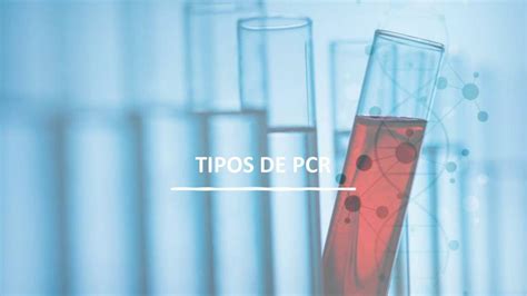 Tipos De Pcr Esmeralda Azucena Garnica Villarreal Udocz