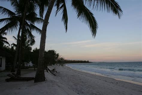 Diani Beach image