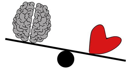 Between Iq Eq And Sq History Of The Relevance Of Iq Eq And By