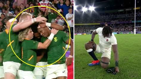 A rugby fan has brilliantly worked out how South Africa dismantled ...