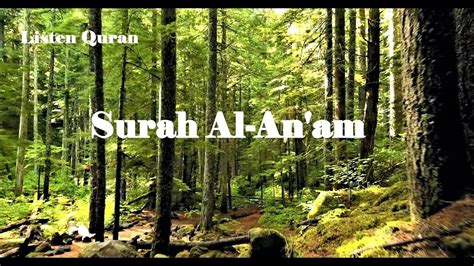 Surah Al An Am I Full Quran Surah 6 I Sheikh Mishary Rashid Al Afasy I Beautiful Recitation