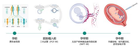 Meckel Gruber综合征新致病基因的发现与拓展 基因检测 上海韦翰斯生物医药科技有限公司