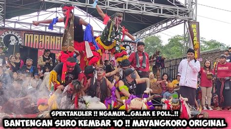 Bantengan Suro Kembar 10 Galak Ngamuk Jaranan MAYANGKORO ORIGINAL Live