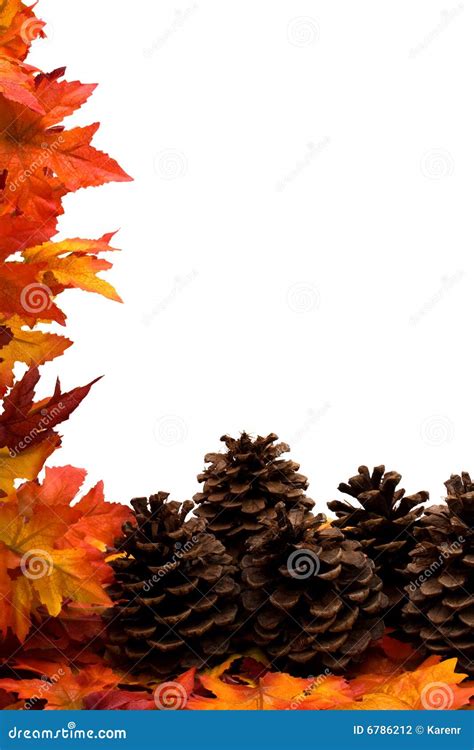 Fall Harvest Border stock photo. Image of yellow, season - 6786212