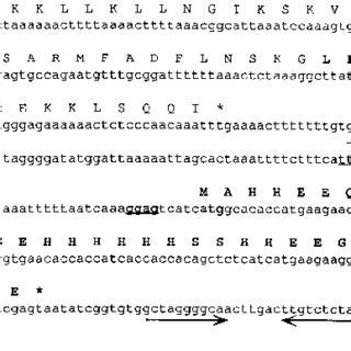 Nucleotide And Deduced Amino Acid Sequences Of The Hpn Gene Of H