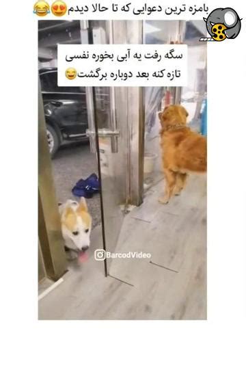 دعوا فقط این😂😂😂😂 فیلو