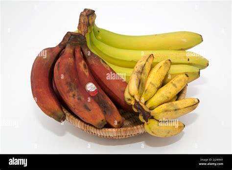 Tres Tipos De Plátanos Plátano Común O Bananas De Frutas Musaceae