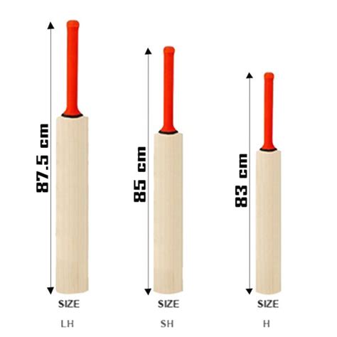 Cricket Bat Sizes | Cricket Bat Dimensions