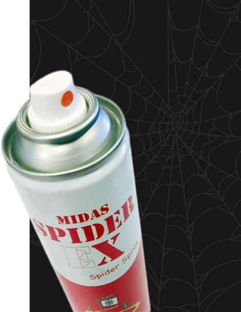 Spiderex Remove Spiders Reduce Spider Infestations Spider