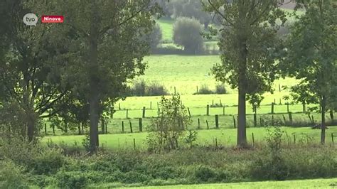 Ninove Krijgt Er 41 Hectare Natuur Bij Het Grootste Deel Wordt Bos