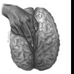 ランナーが公共ビーチでオナニー 危険な大量射精 Pornhub Gay