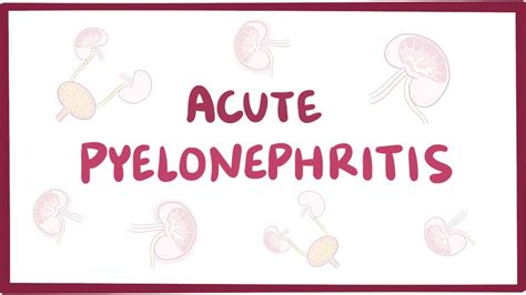 Acute Pyelonephritis Urinary Tract Infection Causes Symptoms