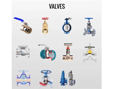 Valve Types Quiz