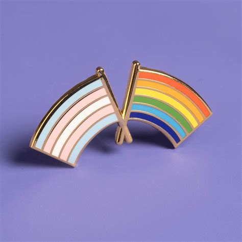 Trans And Lgbtq Pride Flag Combo Pin — Dissent Pins