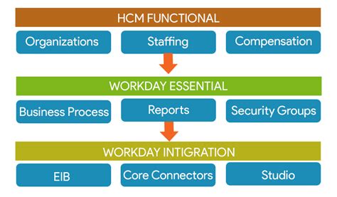 Workday Hcm Training Online Workday Hcm Certification Course