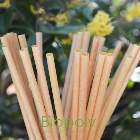 China Bubble Tea Straw Pla Factory Sugarcane Drinking Straws