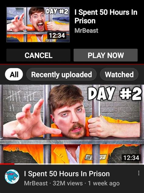 Team Seas : MrBeast