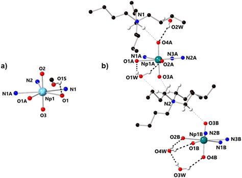 Electroanalytical Characterization Of Np Vi Np V Redox In A Pentadentate Ligand