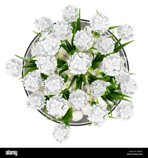 Top View Of Flowers In Glass Vase Isolated On White Background Stock