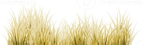 Brown Grass Dry Grass 19873284 Png