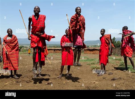 Maasai Warriors Performing Traditional Jumping Dance In The Maasai Mara