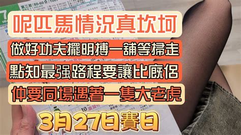 呢匹馬情況真坎坷做好功夫擺明搏一舖等掃走點知最强路程要讓比廐侶仲要同場遇著一隻大老虎3月27日賽日 Youtube