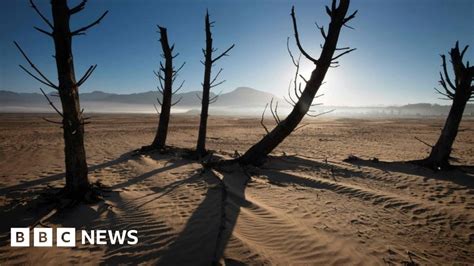 Cape Town drought declared a 'national disaster' - BBC News