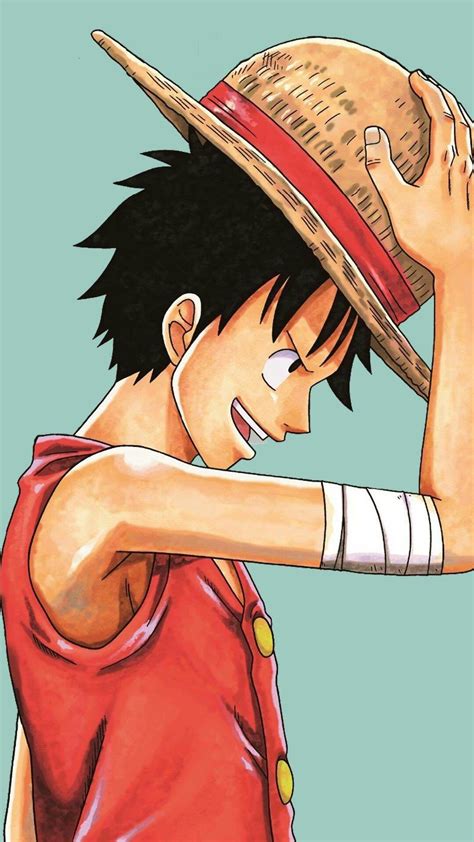 Luffy One Piece Playjuli