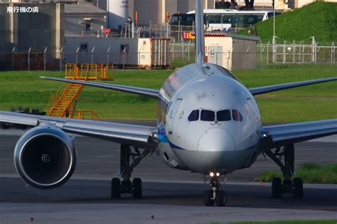 曇っても良い表情 B787 全日空（nh） 飛行機の虜