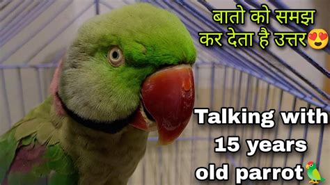 15 Sal Ka Parrot Itni Sari Bato Ka Reply Dega Socha Nhi Tha 😍 Talking