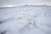 Moorland In Winter Peak District Alex Hyde