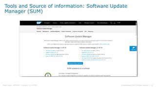 Delta Scope Sap Ehp8 For SAP ERP 6 0 Technical View PPT